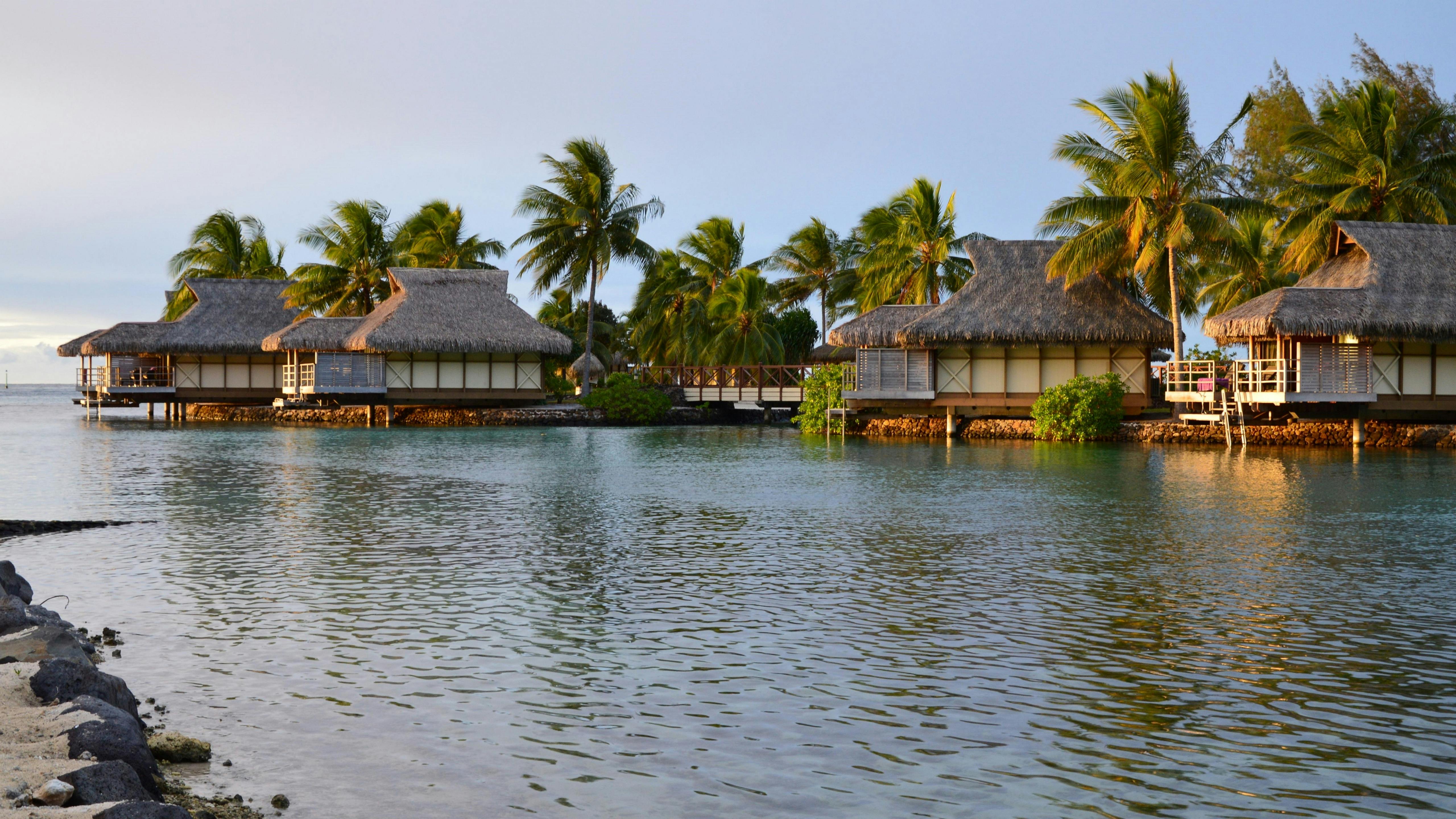 Beach with palm trees